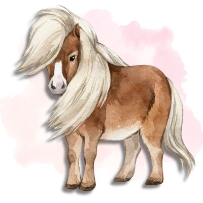 Hier steht das Thema Pferd im Mittelpunkt. Wir...