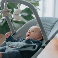 Mast Babywippe Flex Bouncer
