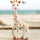 Sophie, la Girafe
