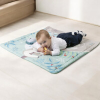Chicco Relax & Play Spielmatte 2in1
