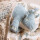 Jollein Kuscheldino Agujaceratops Roarsome