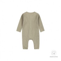 Dirkje Baby Bio Strampler | grün gestreift 68