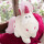 NICI Einhorn Theodor 22 cm groß