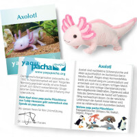 Hermann Teddy Axolotl 36 cm – weich, süß & nachhaltig