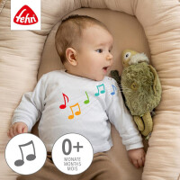Fehn Einschlafhilfe Chamäleon – Kuscheltier 27 cm mit Soundmodul & Cry-Sensor (0+ Monate)