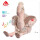 Fehn Einschlafhilfe Flamingo – Kuscheltier 31 cm mit Soundmodul & Cry-Sensor (0+ Monate)