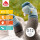 Fehn Activity-Babysöckchen – Rasselsocken 0–12 Monate (12 cm)