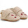 beige Marienkäfer