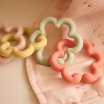 Jollein Spielringe Silikon Flowers im Babyladen Erlangen