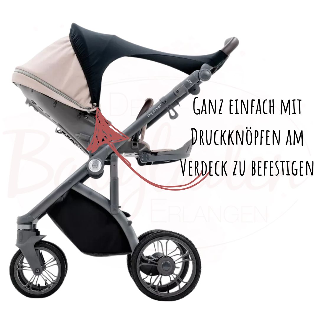 markise auto Wing 270